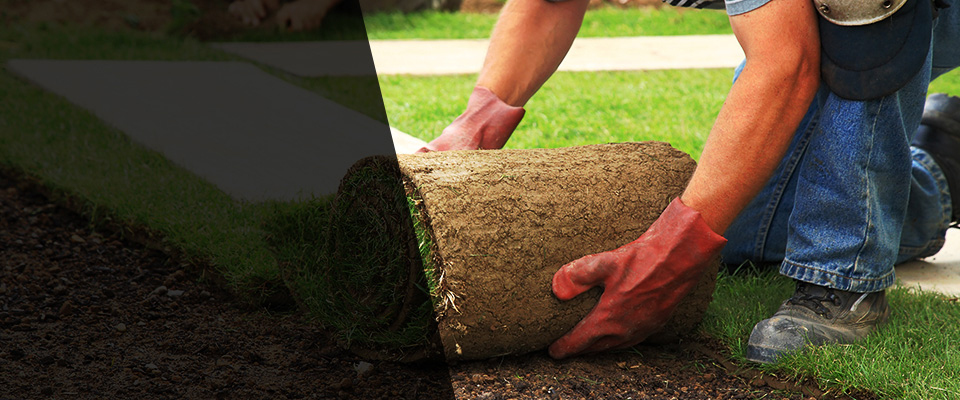 Eveleth Landscapers